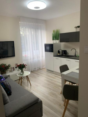 Apartament Walczaka 11 MIEJSCE PARKINGOWE